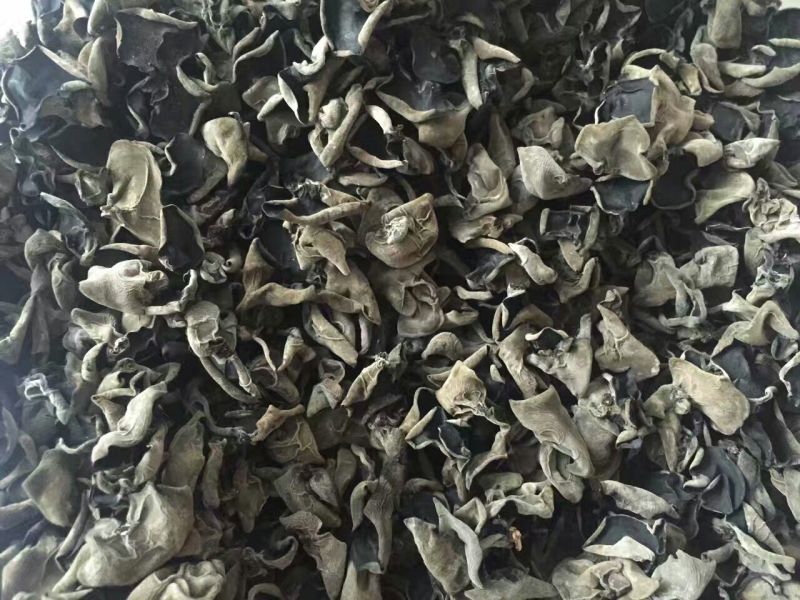 干木耳一级