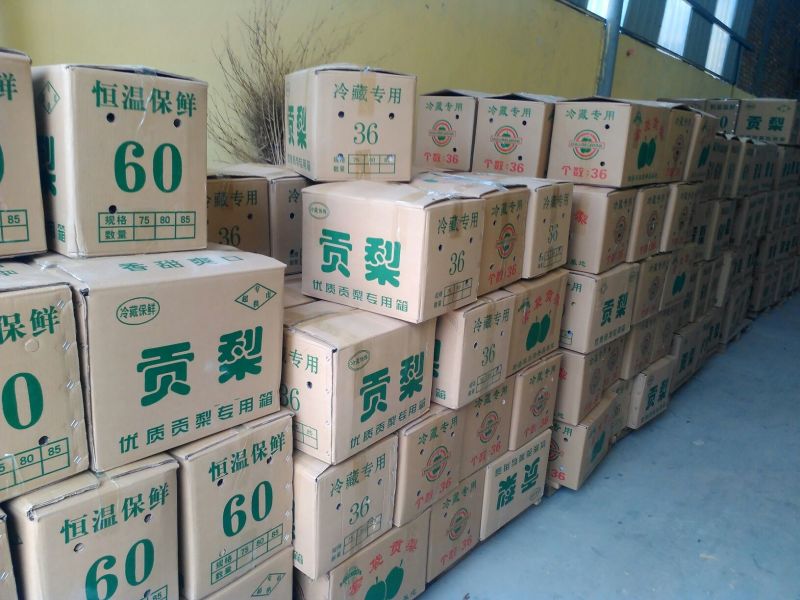 酥梨150~200g纸箱