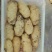 荷兰十五土豆2两以上装箱套网