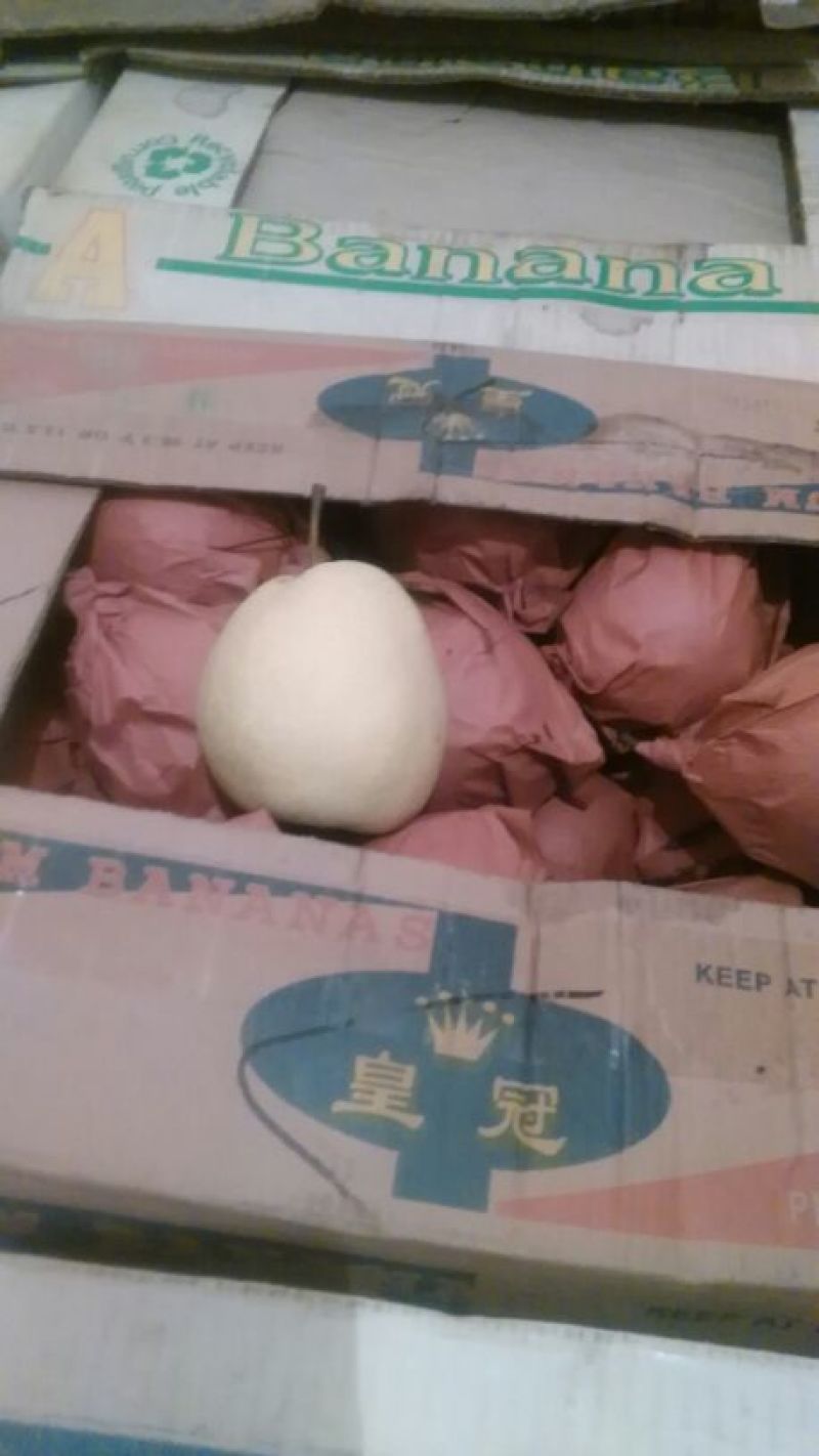 山西平遥贡梨纸袋