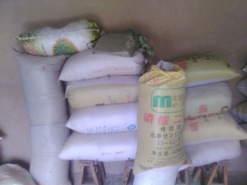 油菜籽