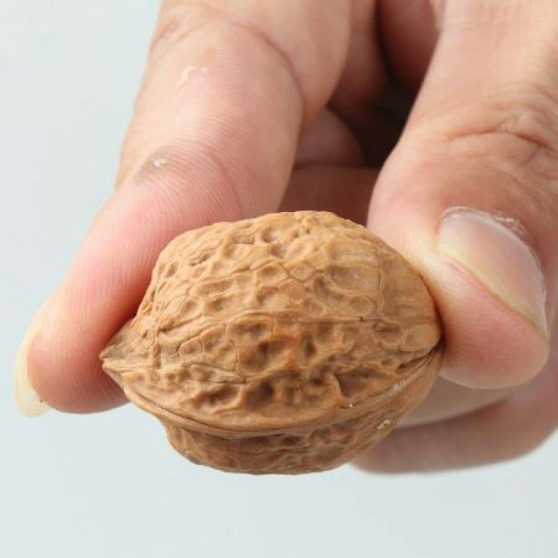 薄皮核桃30mm以上去皮