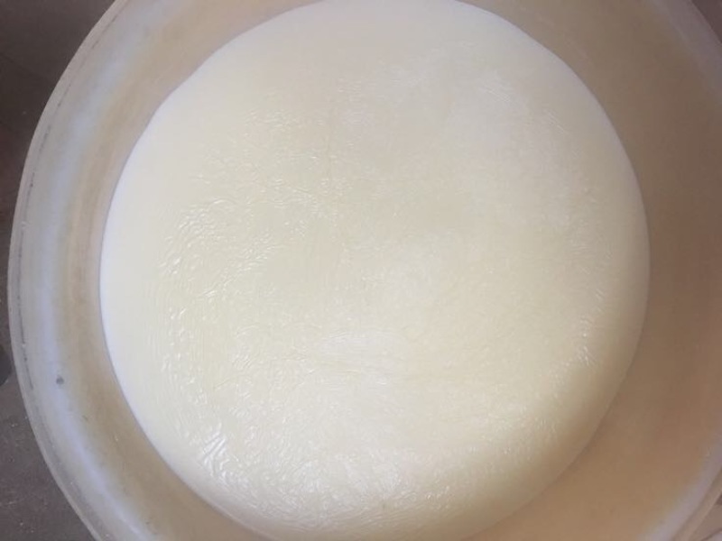 豆腐皮