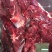 驴肉