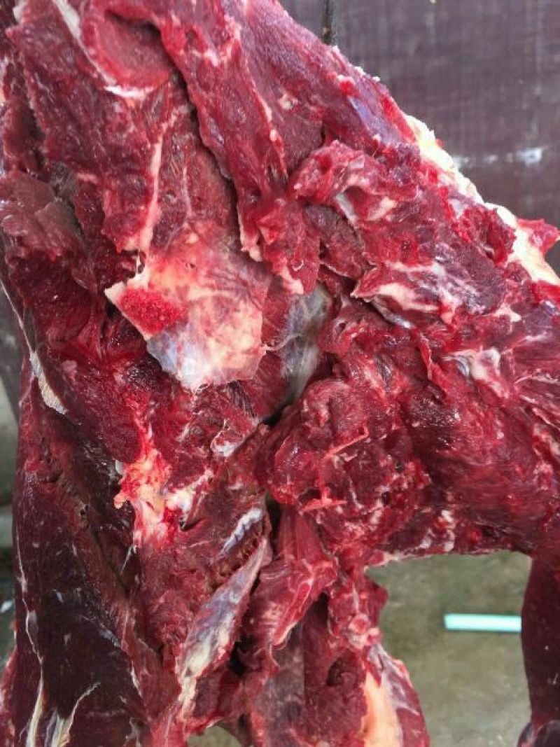 驴肉