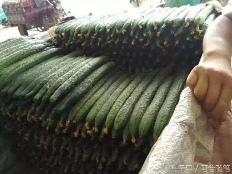 精品电商货，货量充足，代发全国各地，30公分以上