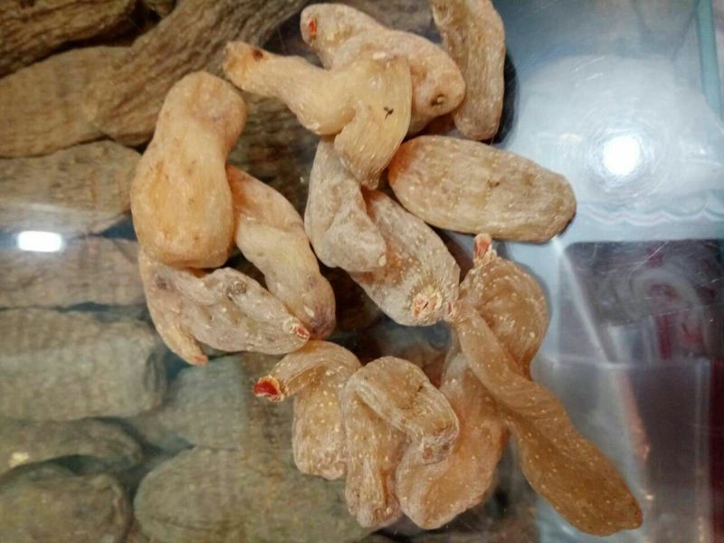 天麻一级云南特产（自产自销）