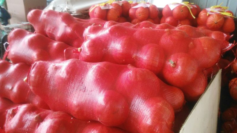 红栗南瓜