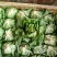 奶油生菜3两~4两