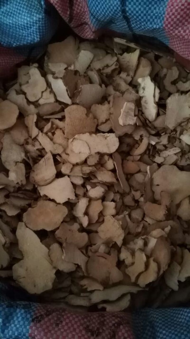 土茯苓薄片