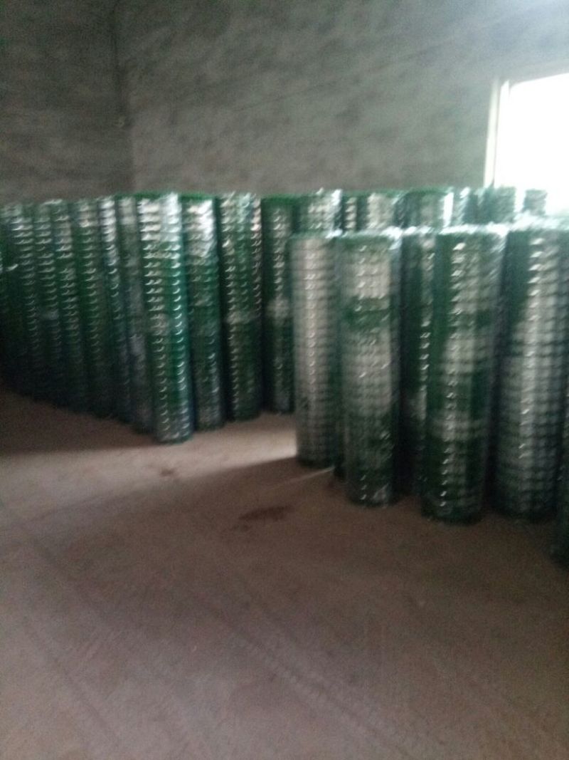 荷兰网