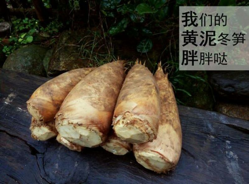 冬笋3两起步