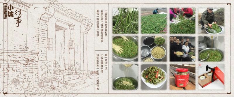 鲜椒酱