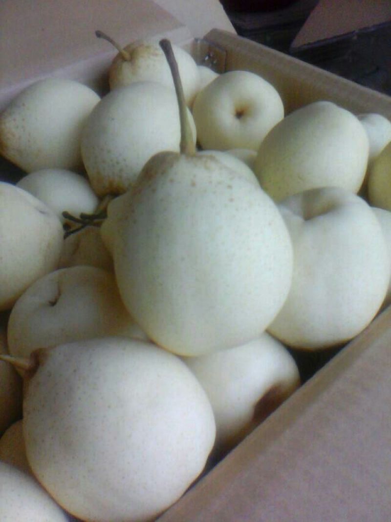 雪花梨300~350g纸袋