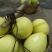 蜜柚2斤以上