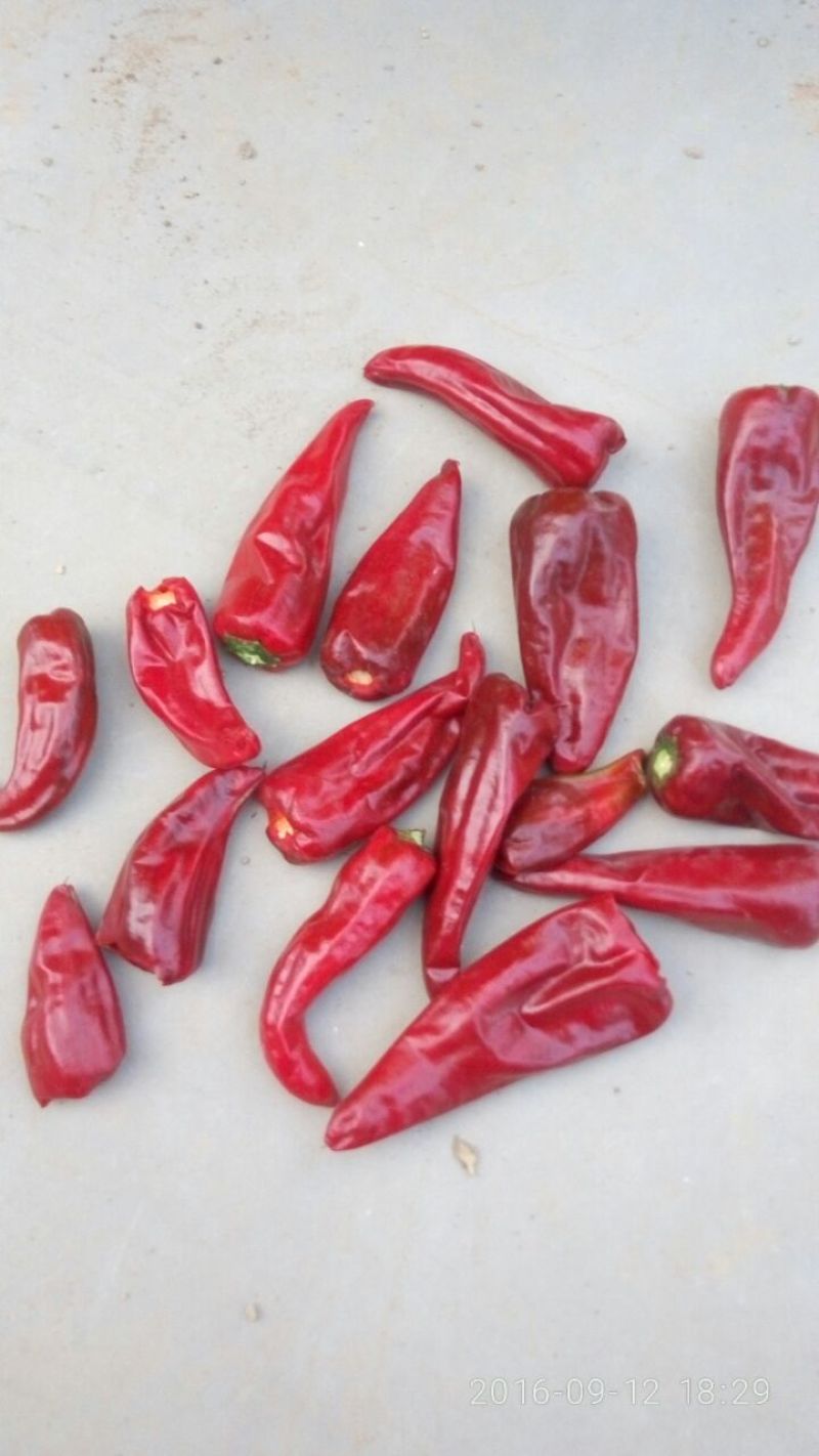 精品红辣椒，基地直销，货源稳定，质量高，辣味足，欢迎下单