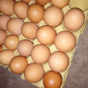 红蛋食用50~60g