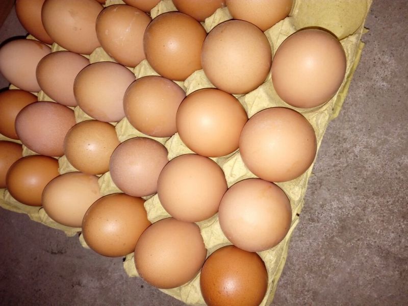红蛋食用50~60g