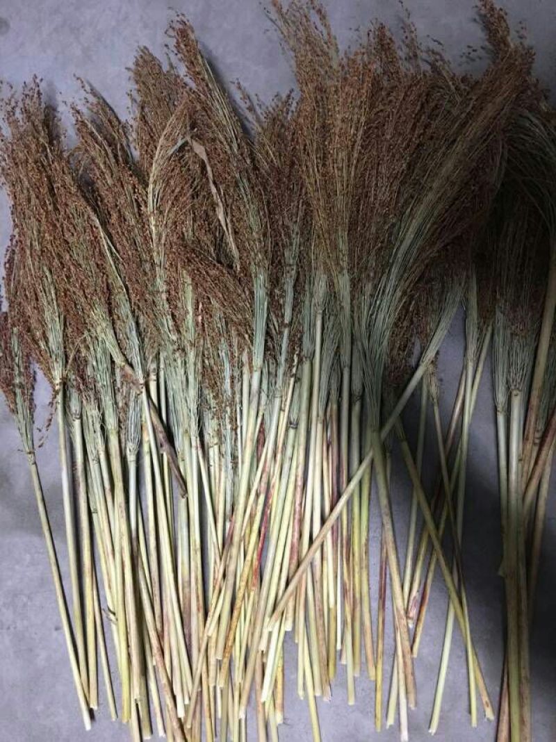 吉林白城洮南高粱秆品质保证，。。。。。。。。