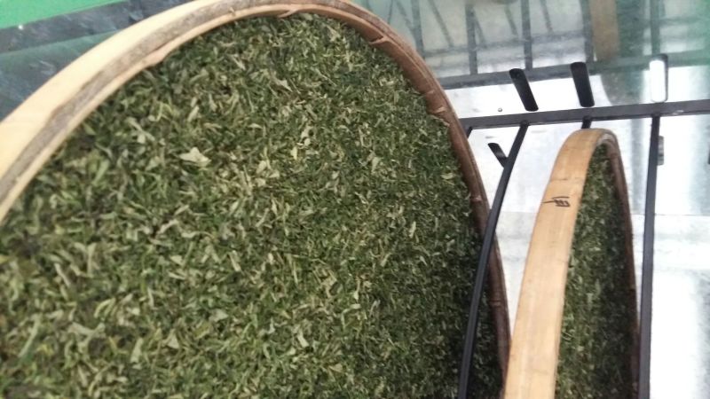 荷叶茶一级
