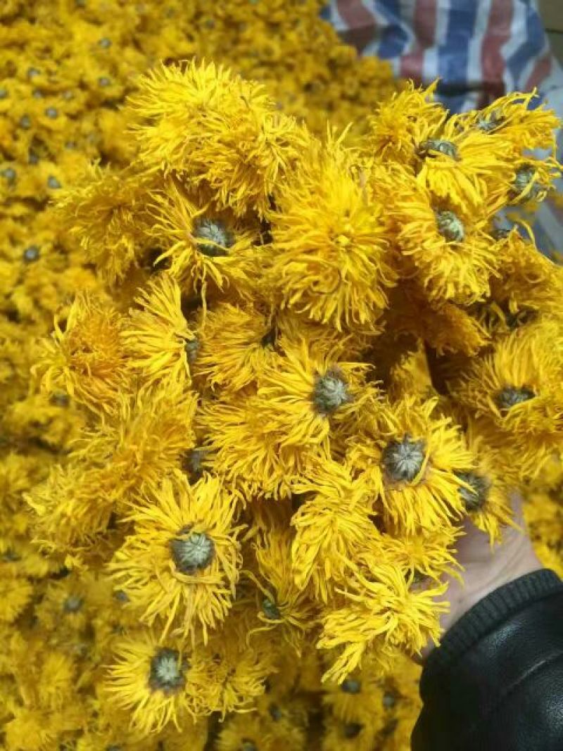 菊花茶