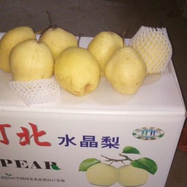 雪花梨350~400g纸袋