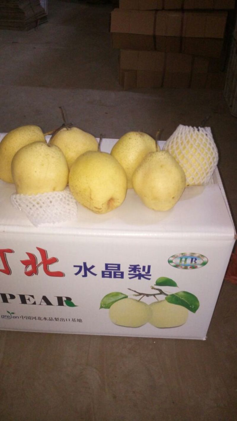 雪花梨350~400g纸袋