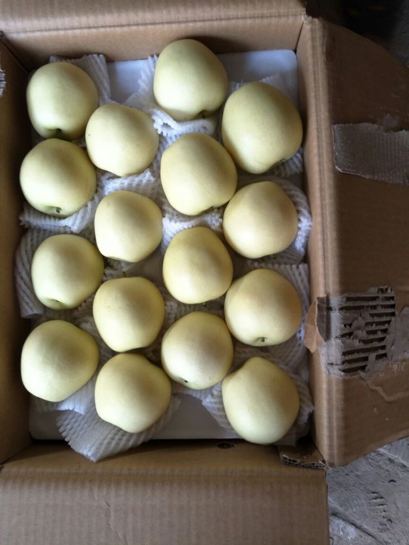 皇冠梨250~300g纸袋
