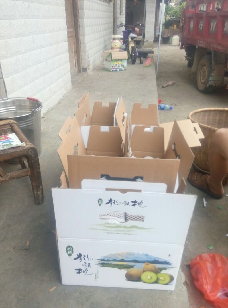 湖南湘西米良1号猕猴桃产地直发可视频看货支持一件代发