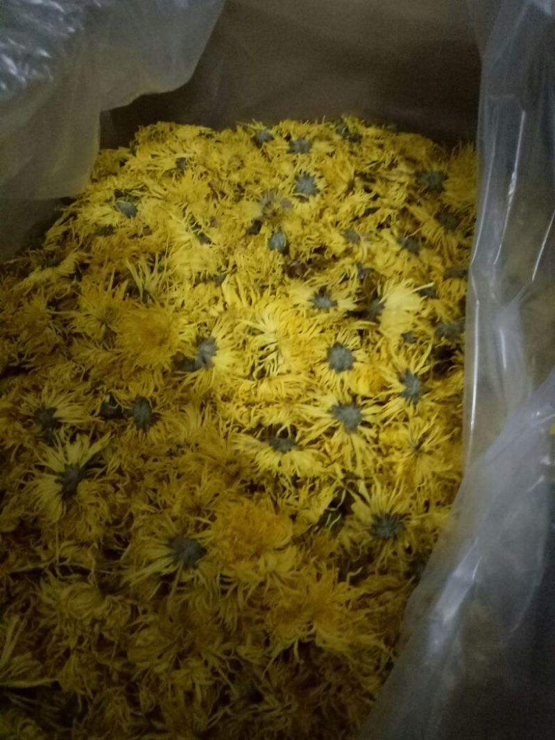 菊花茶