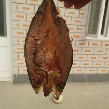 鱼干日晒鱼干
