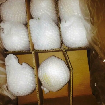 雪花梨200~250g纸箱