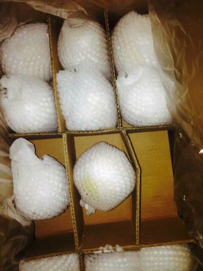 雪花梨200~250g纸箱
