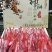 柿饼2.5两以上