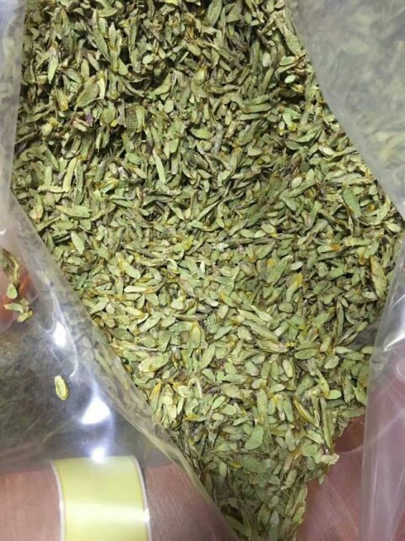 浙江雁荡山铁皮石斛切片易冲泡