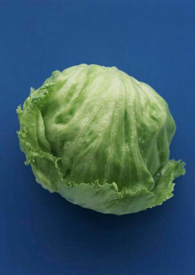 球生菜1斤以上