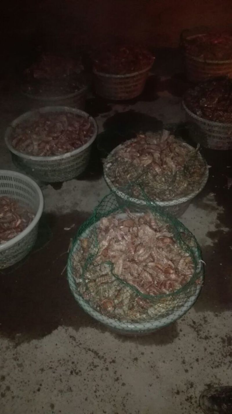 皮皮虾冻虾