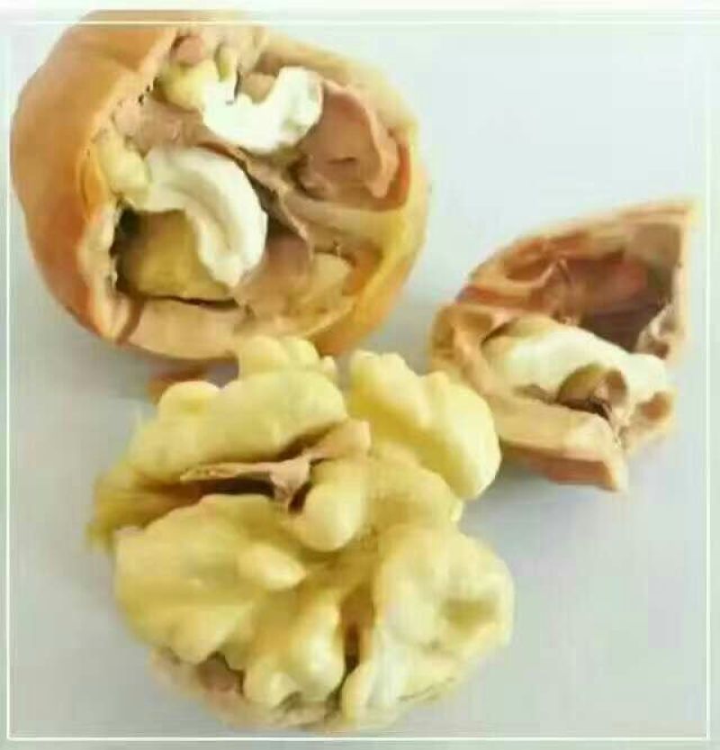 核桃30mm以上去皮干