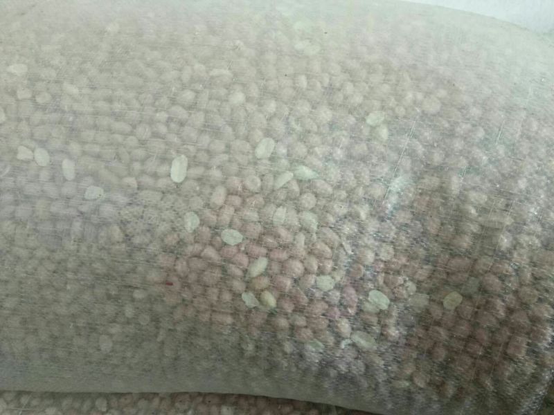大粒花生米白皮一级