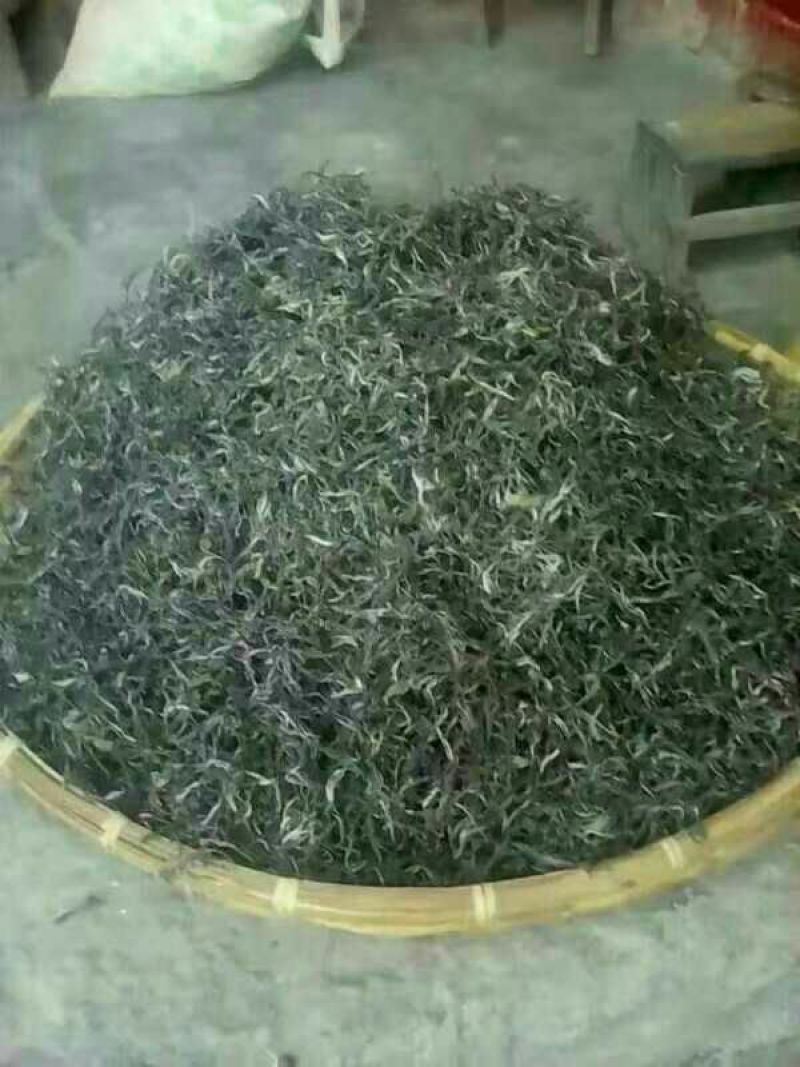 古树普洱茶一级