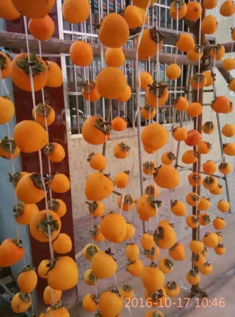 柿饼1~2两