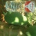 木瓜0.5~1斤
