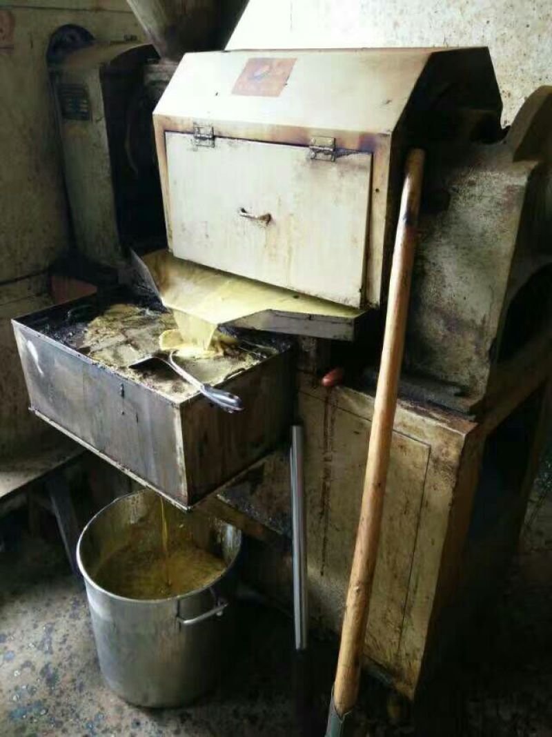 压榨菜籽油三级