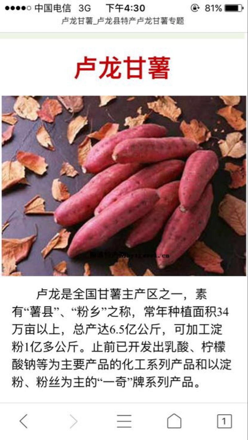 红薯淀粉