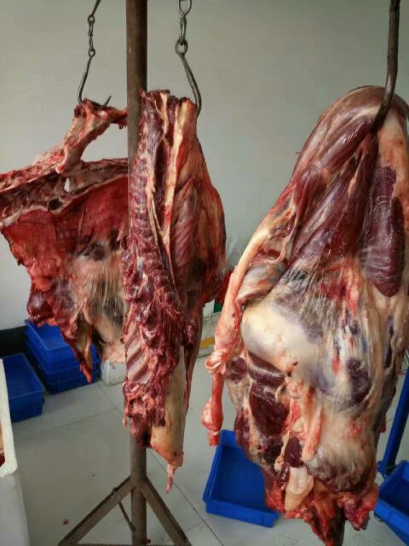 驴肉鲜货，货发全国，质量好