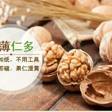 绵核桃30mm以上去皮干