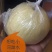 酥梨550~600g纸袋