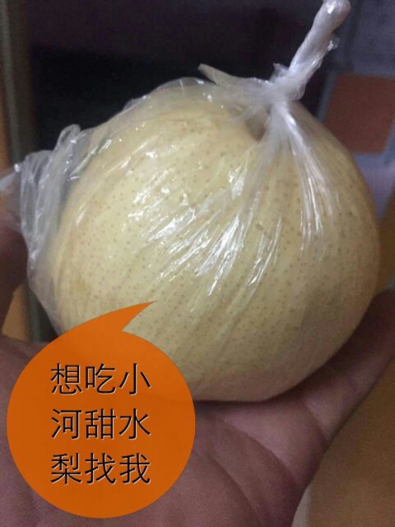 酥梨550~600g纸袋