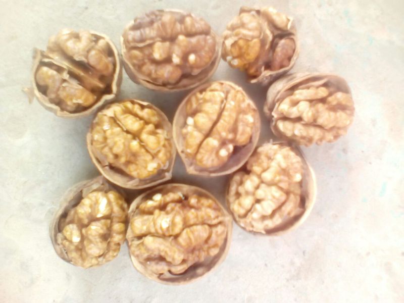 新疆核桃