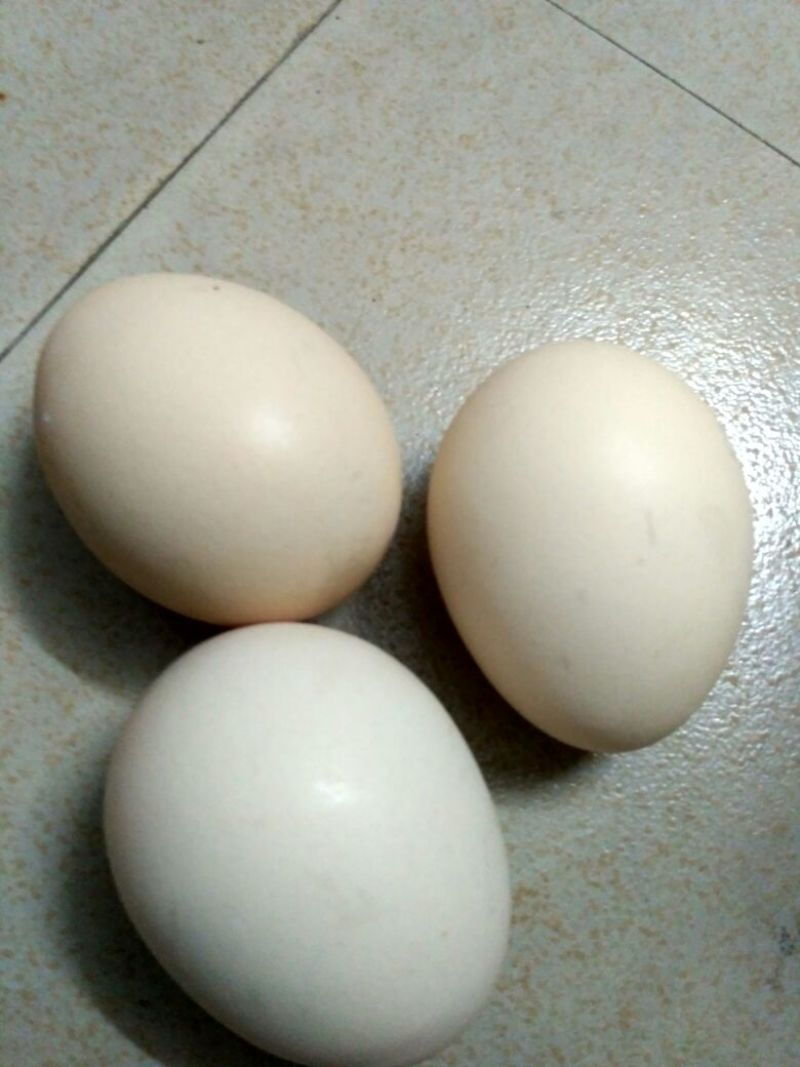 普通鸡蛋食用50g以下